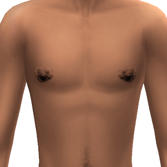 Sims Nipple Mod