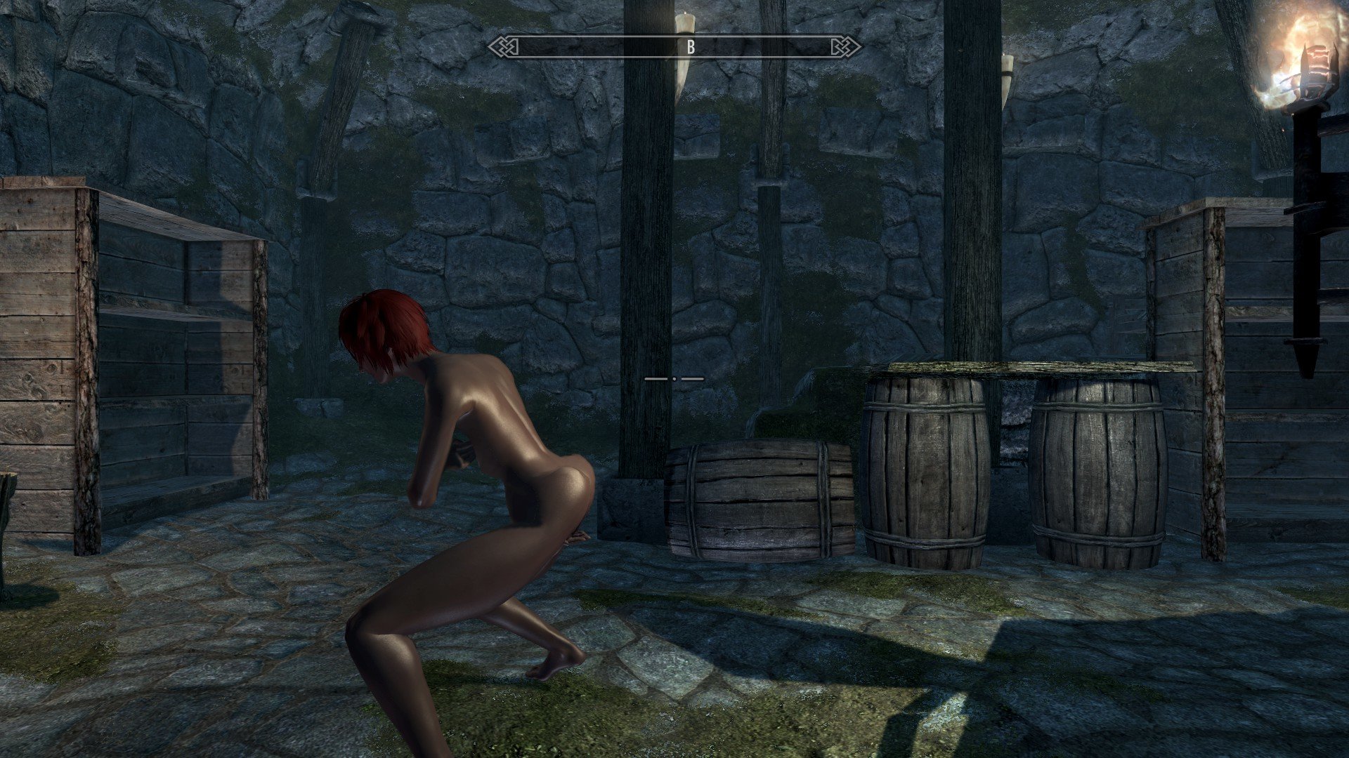 Body Stretching During Animations Skyrim Technical Support Loverslab