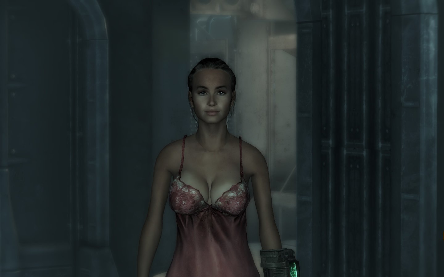 Fallout 3 - My new companion, The slightly lesbian looki…