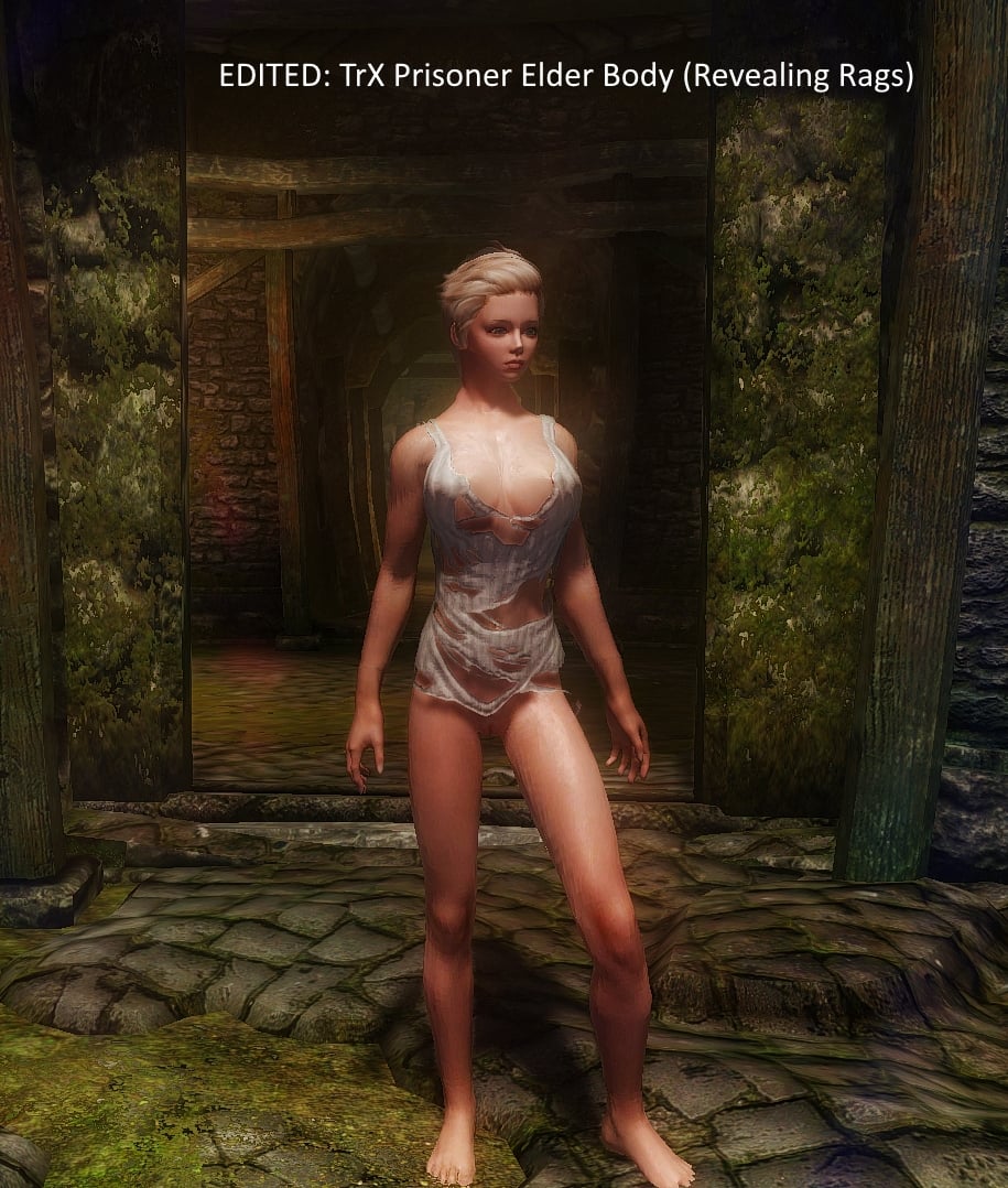 TrX Sloot Armor BS2 UUNP plus lvld list. - Armor & Clothing - LoversLab