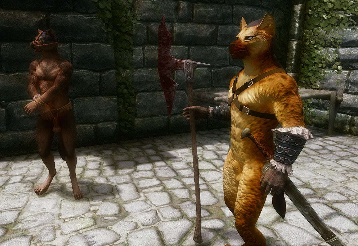 Yiffy Age of Skyrim - Models & Textures - LoversLab