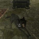 More information about "black armored husky retexture"