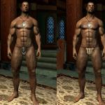 More information about "Exposed Armors- Armored Bikinis for SOS"