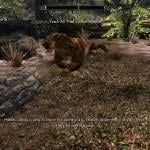 More information about "Ser Pounce-a-lot Sabre Cat Companion"