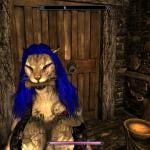 More information about "Sexlab Devious Khajiit Gags"