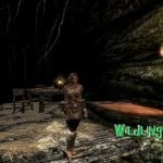 More information about "Wildlings ~ An alternative Skyrim Experience"