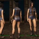 More information about "Clothing and armor for Fallout 4"
