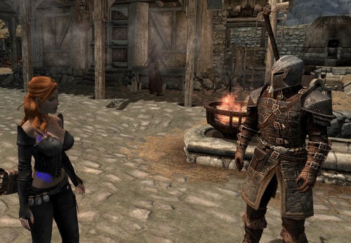 More information about "Dawnguard Sentries SE"