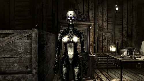 More information about "Cybernetic Dawn For Fallout New Vegas"