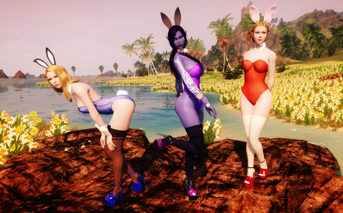 More information about "Nadriel's Bunny Girl Outfit, Converted to Skyrim (CBBE/UUNP HDT and nonHDT)"