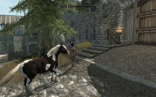 More information about "Dragonsborn´s Horse"