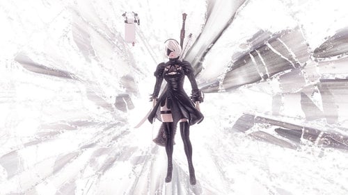 More information about "Nier's cosplay outfit"