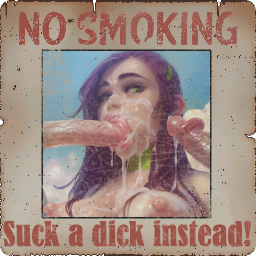 More information about "Miscellaneous NSFW Texture Replacer"
