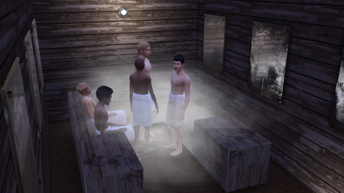 More information about "steam bath.package"
