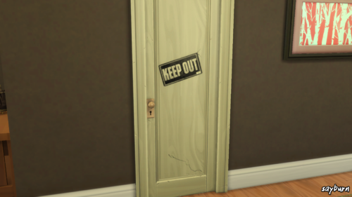 More information about "Teen Keep Out Door"