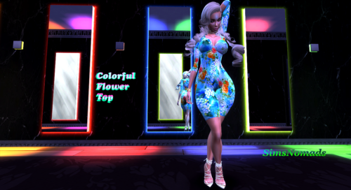 More information about "Colorful Flower Top_SimsNomads.rar"