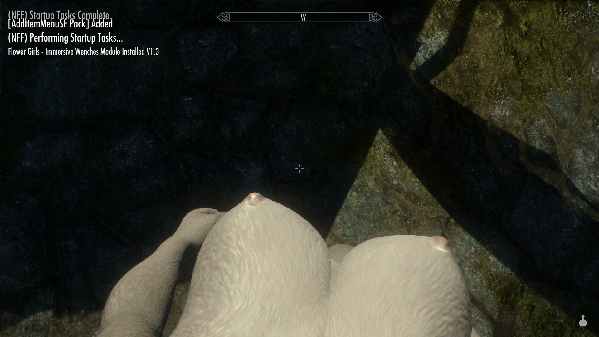 Skyrim se joy of perspective