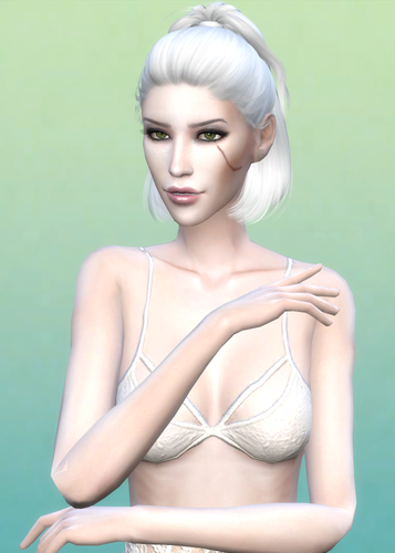 Ladies Of The Witchersims 4 Collection The Sims 4 Sims Loverslab 