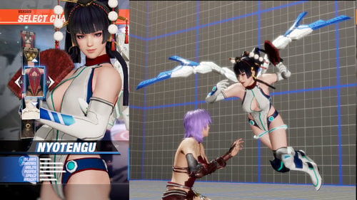 More information about "Nyotengu power suit"