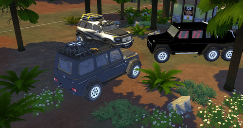 More information about "S4 Mercedes- Benz G500"
