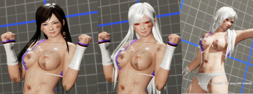 More information about "Kokoro's Deluxe Costume NSFW Breakable"