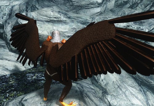 Gallery of Skyrim Bat Wings Mod.