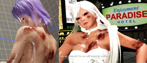 More information about "More Blood and Dirt Battle Damage for Females (Ayane & Moka only) v0.80"