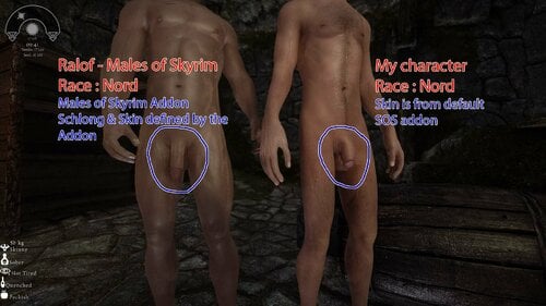 More information about "Males of Skyrim - SOS Patch (for real)"