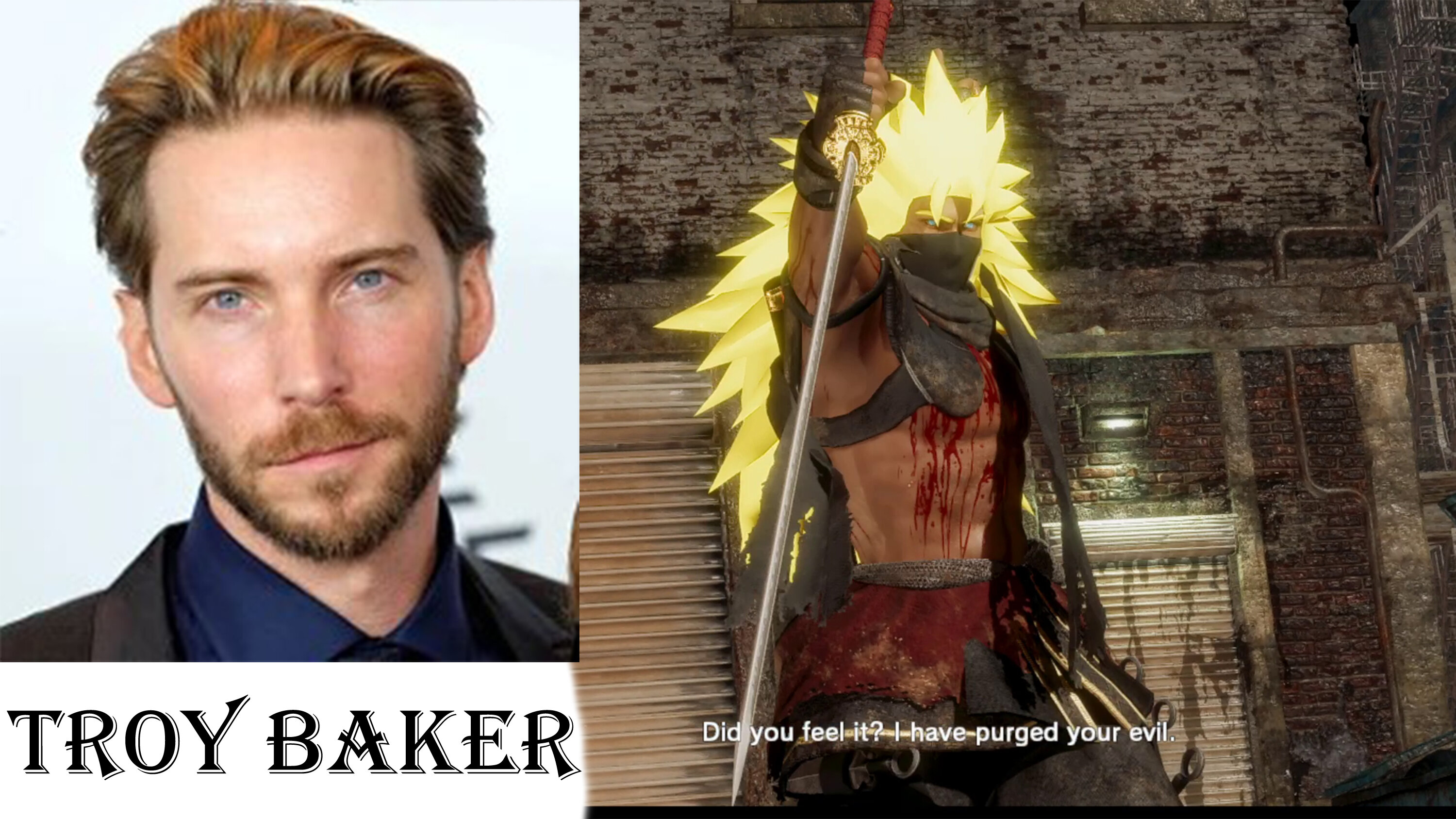 DoA6 Voice Replacement Troy Baker as ENG Hayabusa v0.50