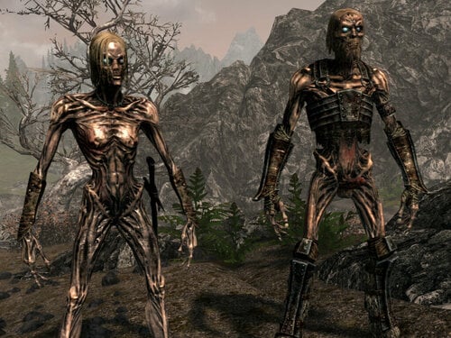 Decaying Draugr - More Nasty Critters add-on