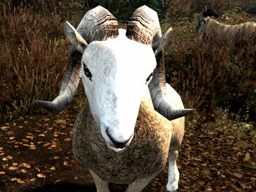 More information about "Sheep Flocks patch for MNC SE"