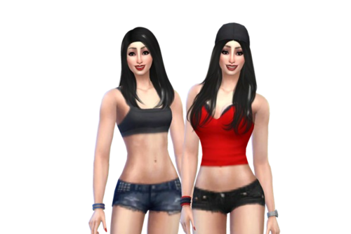 More information about "The Bella Twins"