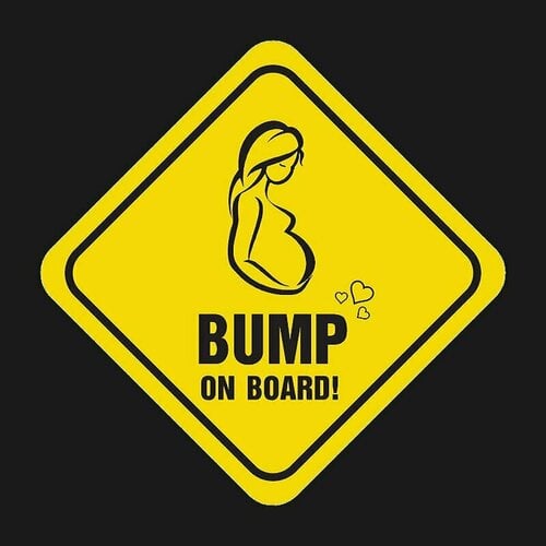 More information about "Skyrim Bump Ride"