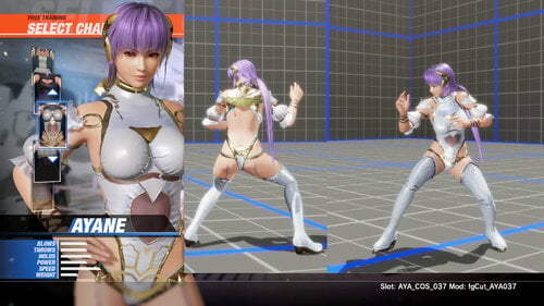 More information about "Simple style Ayane DOA6 Gust"