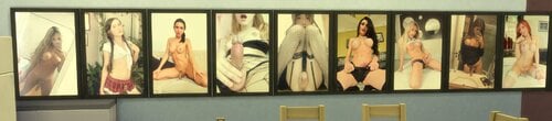 More information about "Trans Paintings"