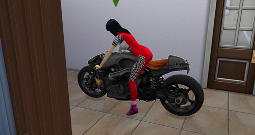 More information about "The Rideable BMW R Nine beta"