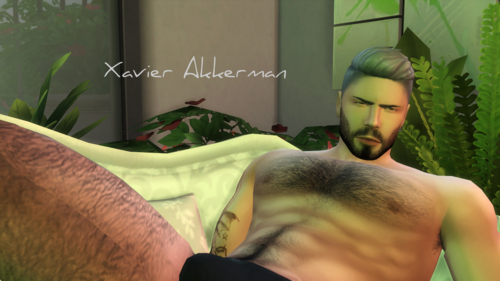 More information about "Xavier Akkerman"