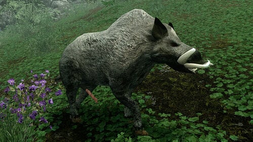 More information about "Boars and Daggerbacks - Always Erect"