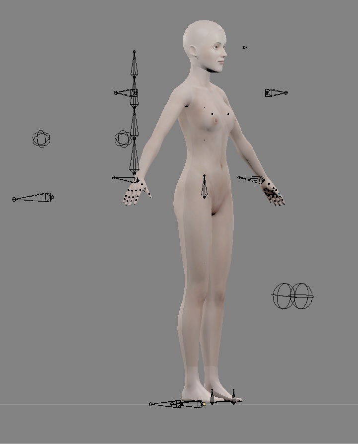 IK rigs for Animating and Posing in Blender