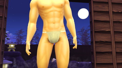 More information about "Male Fundoshi CC"