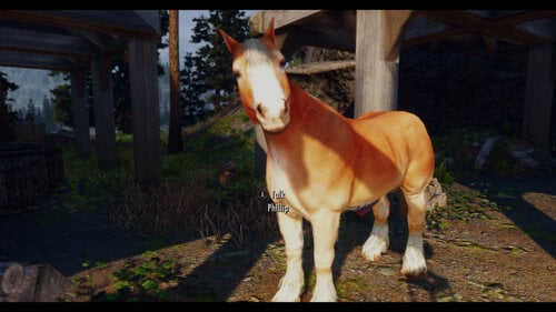 More information about "Phillip The Horse SE"