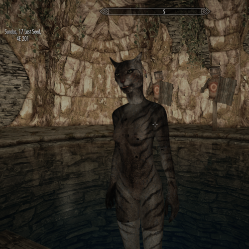 More information about "Bathing in Skyrim Tweaked SE edition"