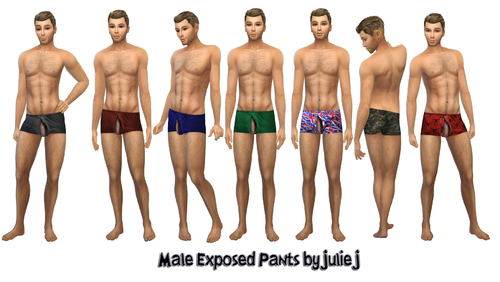 More information about "Male Exposed Pants by Julie J"