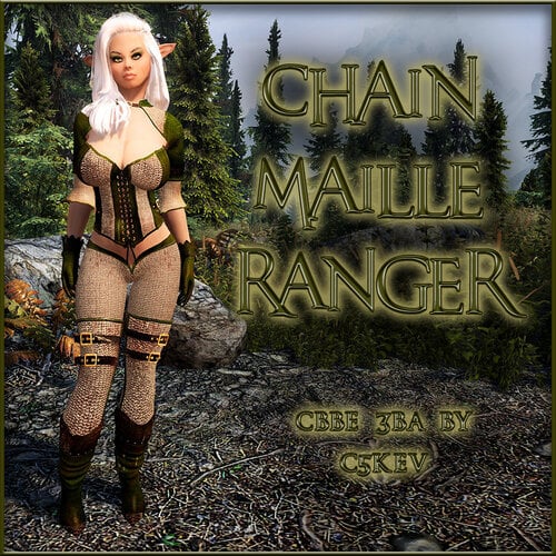 More information about "C5Kev's Chainmaille Ranger Armor 3BA"