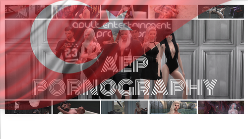 More information about "AEP Career - Turkish Translation"