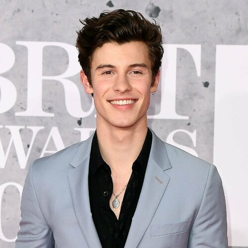 More information about "Shawn Mendes Pinup Collection (NSFW/SFW)"