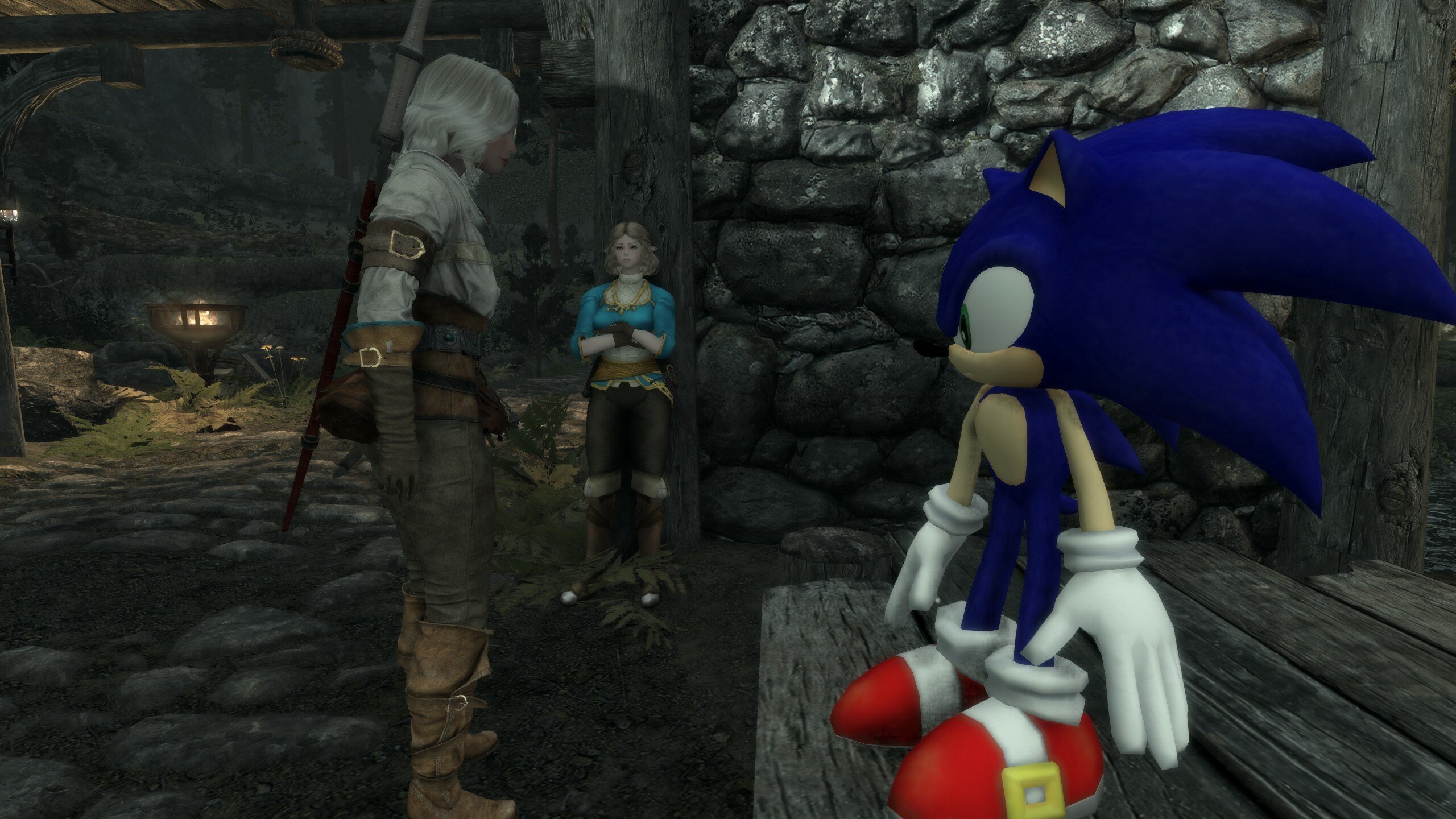 skill issue mod [Sonic the Hedgehog Forever] [Mods]