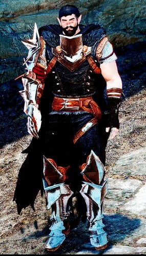 More information about "Dragon Age II Champion Mage Armor"