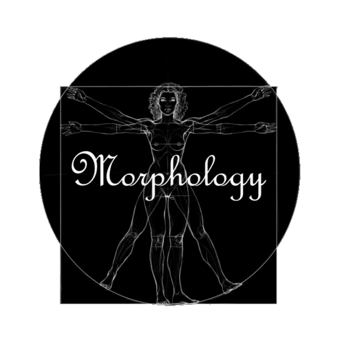 More information about "Morphology"