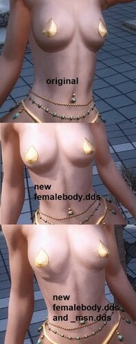 More information about "Bijin Skin petite / flat boobs texture UNP"